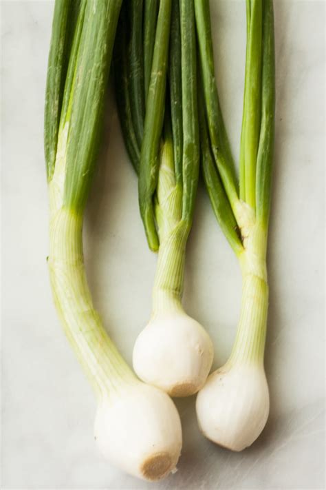 For instance, raised beds or rows are the best for onions because they prefer. Difference Between Scallions and Green & Spring Onions ...