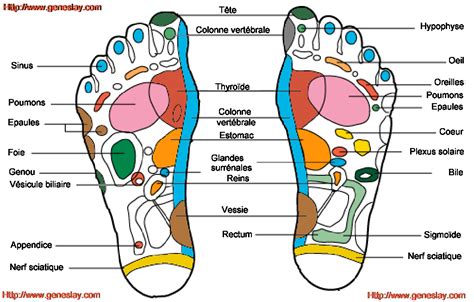 L'acupuncture est une technique thérapeutique qui utilise notamment les aiguilles , comme outil, sur les points d'acupuncture et permet de rétablir l'acupuncture peut traiter un problème de sommeil passager, mais elle peut également apporter un réel soutien pour éviter les insomnies à répétition. Médecine chinoise