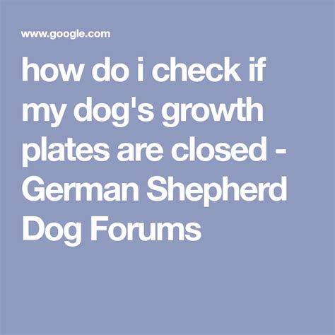 How Do I Check If My Dogs Growth Plates Are Closed German Shepherd