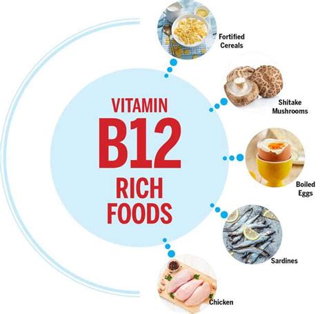 Vit B12 Rich Foods