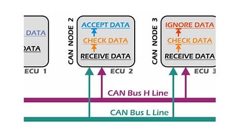 can bus wiring explained