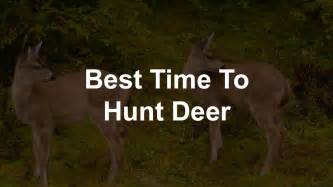 Deer Feeding And Movement Times Best Time To Hunt Deer