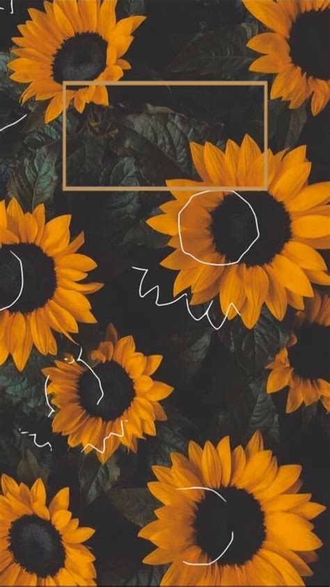 Sunflower Lock Screen In 2020 Sunflower Iphone Wallpaper Flower