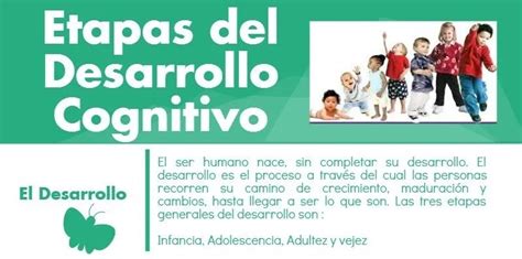 Infografía Etapas Del Desarrollo Cognitivo