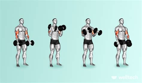 the ultimate chest and bicep workout to feel the pump welltech