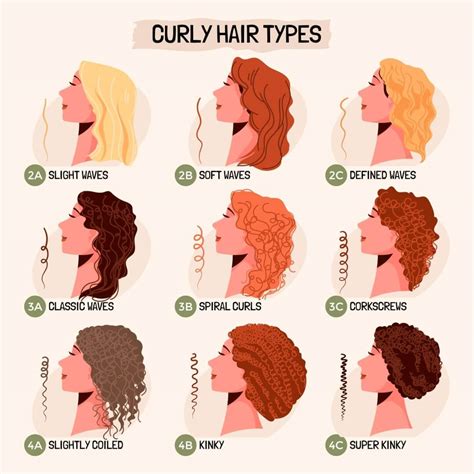 top 100 image curly hair type chart vn