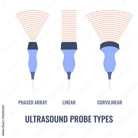 Ultrasound Probe Types Diagram Linear Curvilinear And Phased Array