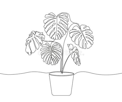 One Line Drawing Of Monstera In A Flowerpot Continuous One Line Of