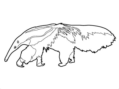 How many anteaters coloring page. Anteater Coloring Page for Kids - ColoringBay