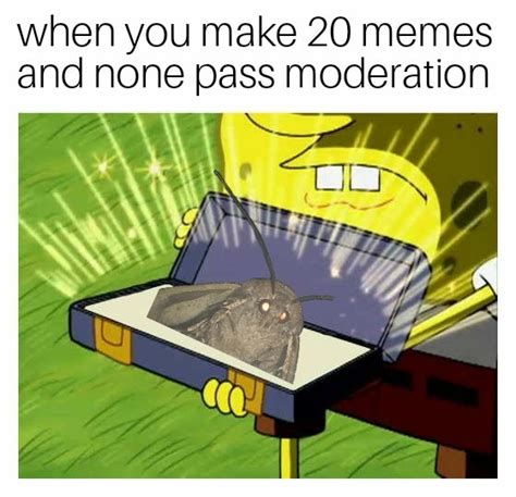 The Best Moth Memes Memedroid