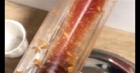 Video Of Maggots Wriggling Inside Mcdonalds Ketchup Dispenser Goes