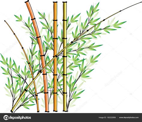 Dessin Vectoriel Bambou Icône Conception Fond Image Vectorielle Par