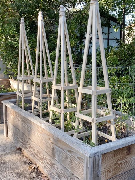 I Am So Excited To Share A Diy Of How I Made These Tomato Cages Its