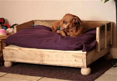 40 Diy Pallet Dog Bed Ideas 1001 Pallets