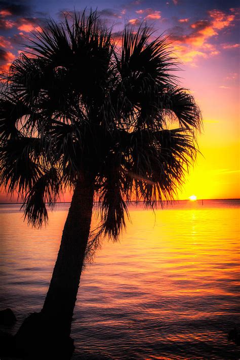 Sunset On The Ocean Photograph By Deb Henman Fine Art America