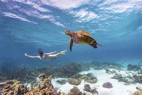 Ningaloo Reef The Best Ways To Experience It By Water And Sand