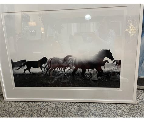 Horse Herd Framed Print Sold Wistle And Co Auckland Design Store