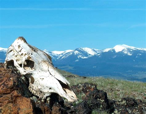 Skull Mountain Photograph By Mark Eisenbeil Fine Art America