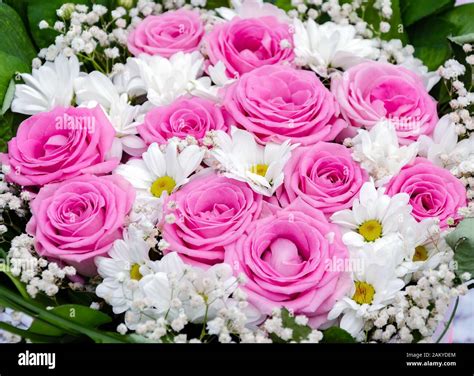 Magnifique Bouquet Avec Différentes Fleurs Roses Et Chrysanthèmes