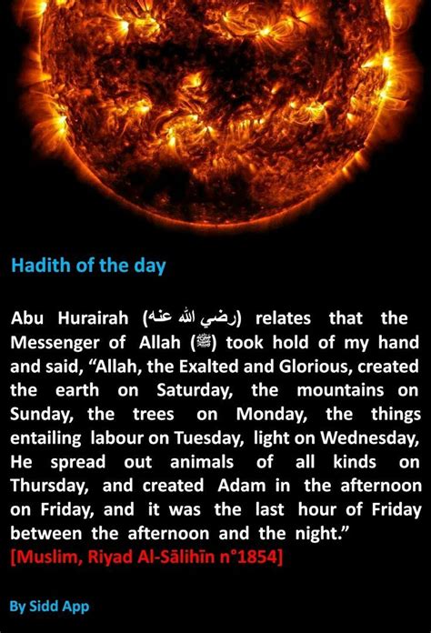Hadith | Hadith of the day, Hadith, Islamic quotes quran