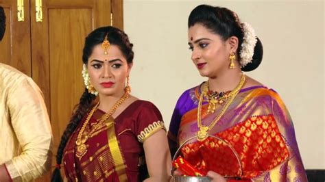 Watch Karthika Deepam Tv Serial Episode 354 Soundarya Keeps Mounitha