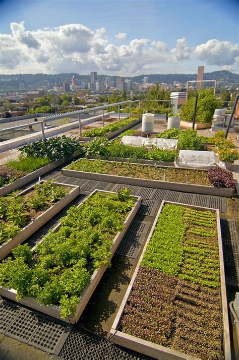 This is a diy raised flower bed filled with #bee friendly plants and lavender. 49 Simple Rooftop Garden Ideas | Green roof garden ...