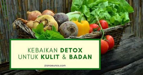 Jadi cocok untuk anda yang ingin melakukan program diet dengan cara manfaatnya sangat banyak, seperti perawatan untuk muka dan salah satunya yang penting adalah buah lemon sangat baik untuk yang sedang. Kebaikan Detox Untuk Kulit Muka Dan Badan ~ Ziana Eunos