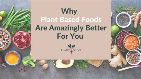 Why Are Plant Based Foods Amazingly So Much Better For You
