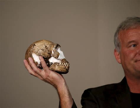Aus einer höhle in südafrika hinein in den stammbaum des das ist leider nicht so…umso spannender, dass nun ein neuer vertreter der gattung homo gefunden. New human-like species discovered in South Africa | Toronto Star