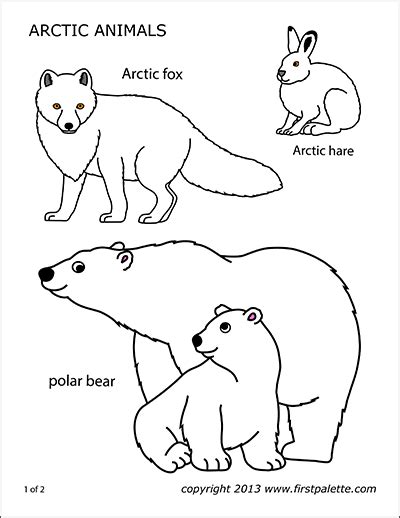 Arctic Fox Free Printable Templates And Coloring Pages Firstpalette