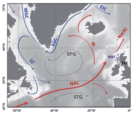 Ocean Circulation Changes May Have Killed Cold Water Corals Geospace