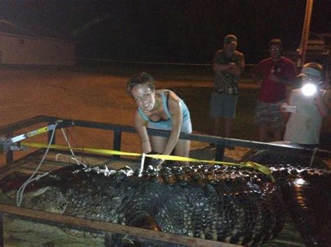 One Less Gator At Talquin