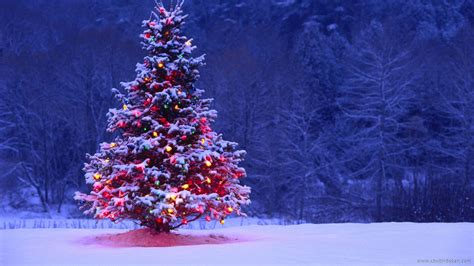 Free Download Wallpaper Christmas Scenes Images 1920x1080 For Your