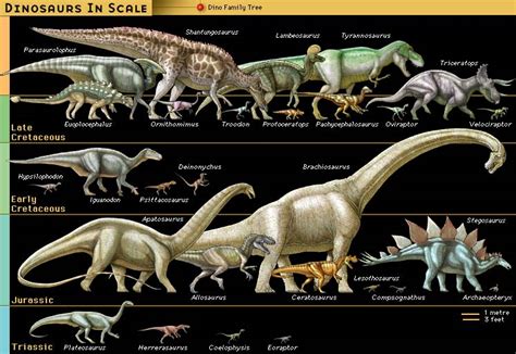 Dinosaur Fossil Reptile