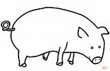 Pig Bellied Pot Coloring Template sketch template