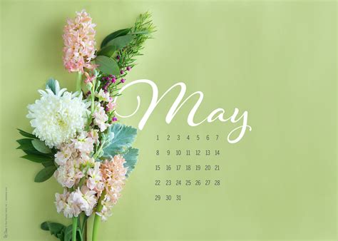 Download May Wallpaper By Cmaldonado31 May Backgrounds For Desktop