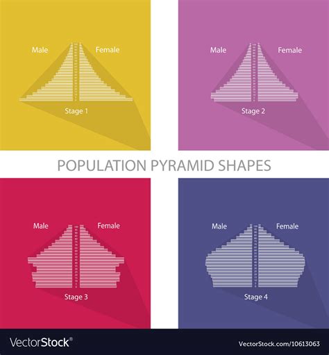 4 Stages Of Population Pyramids Graphs Royalty Free Vector