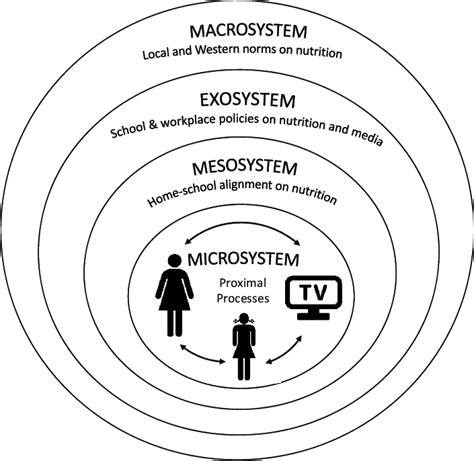 Conceptual Bioecological Systems Model Or Processperson Contexttime Download Scientific