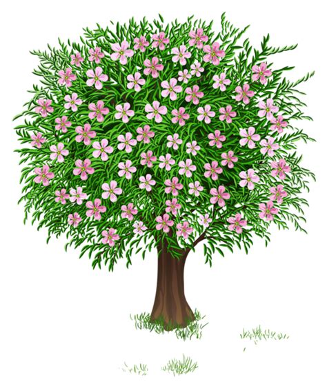 Clip Art Of Budding Tree Png Clipart