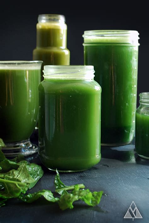 Add a scoop of vanilla ice. 5 Mean Green Juice Recipes in 2020 | Green juice recipes ...