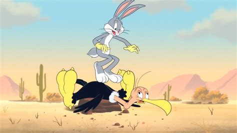 Looneytunescartoons S1 E6 Beaky Bugs Bunny 3 By Giuseppedirosso On