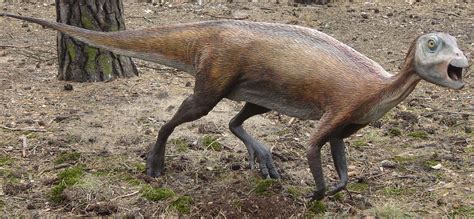 Atlascopcosaurus Wiki Prehistórico Fandom