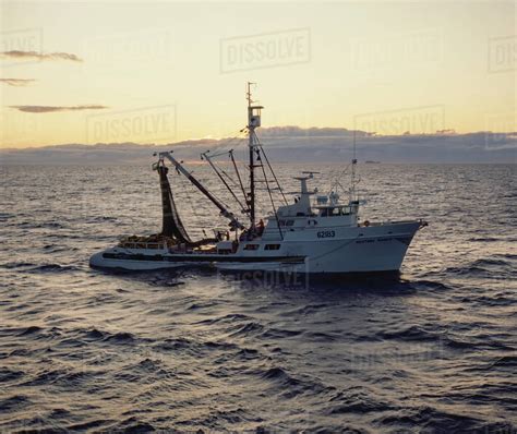 Fishing Trawler Harvesting Fish Off Shore Stock Photo Dissolve