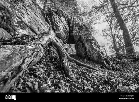 Weathered granite rock Black and White Stock Photos & Images - Alamy