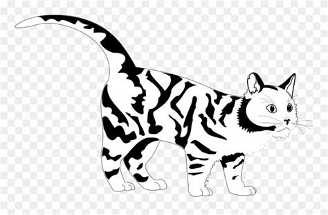 Tiger Cat Black White Line Art Coloring Sheet Colouring Graphic Black And White Cat Clipart