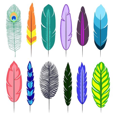 Premium Vector Feathers Isolated Icons On White Background