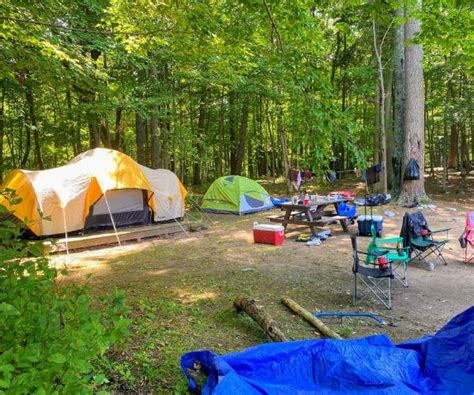 Lake George Camping Guide Info Tips Faqs And More