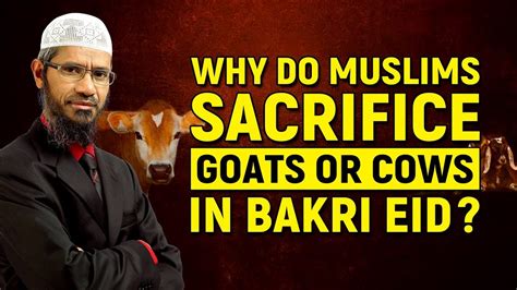 Why Do Muslims Sacrifice Goats Or Cows In Bakri Eid Dr Zakir Naik Youtube