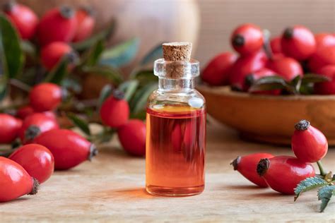 10 Best Rosehip Oils Review In 2020 Complete Buyers Guide