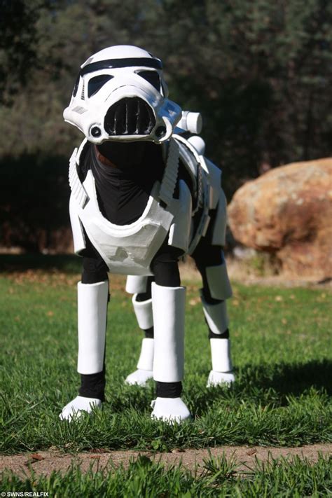 Star Wars Fan Creates The Worlds Best Dog Costume Real Fix